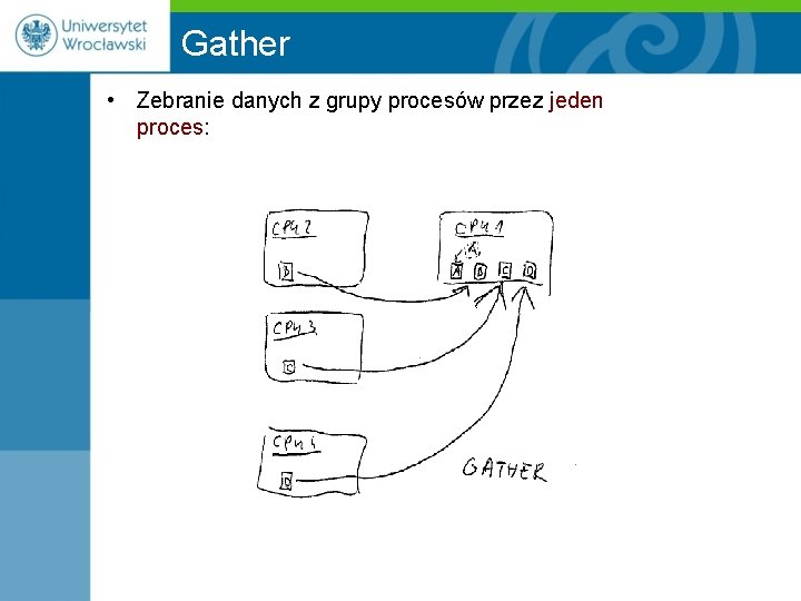 Gather • Zebranie danych z grupy procesów przez jeden proces: 