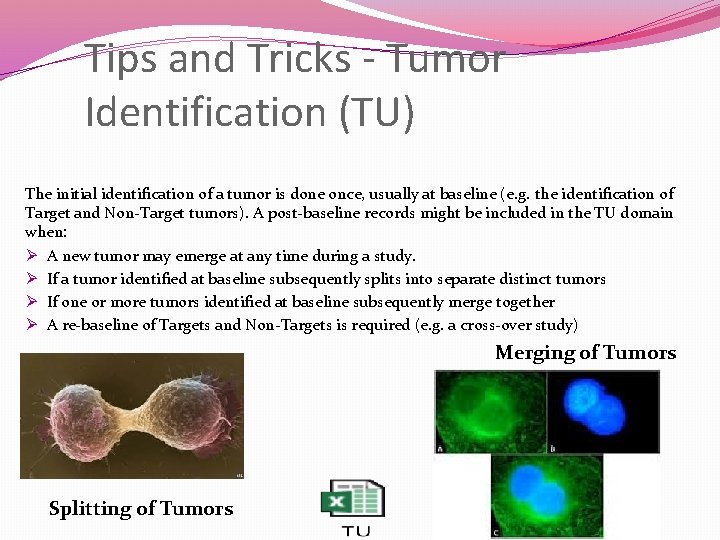 Tips and Tricks - Tumor Identification (TU) The initial identification of a tumor is