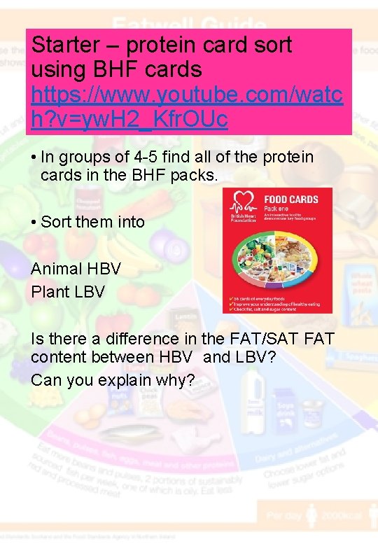 Starter – protein card sort using BHF cards https: //www. youtube. com/watc h? v=yw.