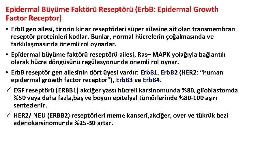 Epidermal Büyüme Faktörü Reseptörü (Erb. B: Epidermal Growth Factor Receptor) • Erb. B gen