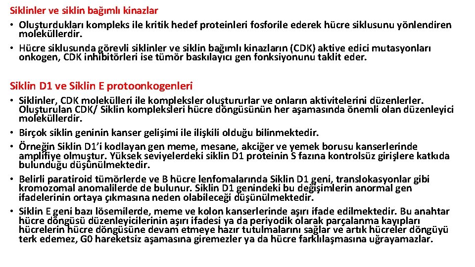 Siklinler ve siklin bağımlı kinazlar • Oluşturdukları kompleks ile kritik hedef proteinleri fosforile ederek