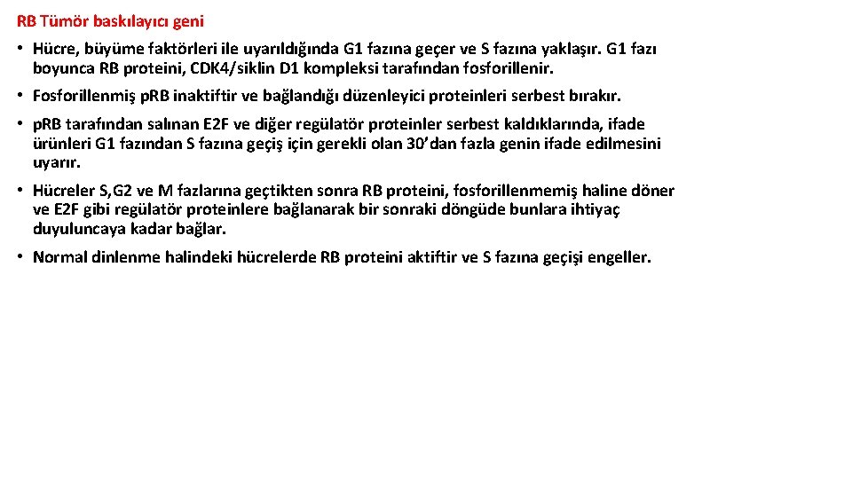RB Tümör baskılayıcı geni • Hücre, büyüme faktörleri ile uyarıldığında G 1 fazına geçer RB Tümör baskılayıcı geni • Hücre, büyüme faktörleri ile uyarıldığında G 1 fazına geçer
