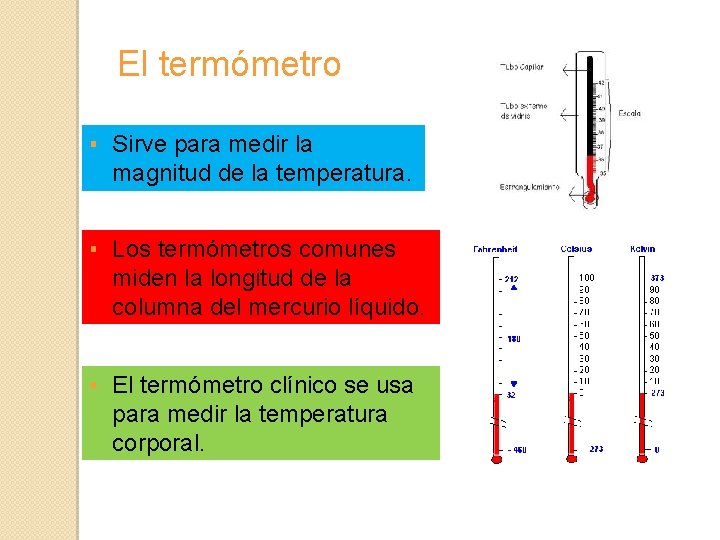 El termómetro ▪ Sirve para medir la magnitud de la temperatura. ▪ Los termómetros
