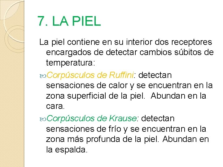 7. LA PIEL La piel contiene en su interior dos receptores encargados de detectar