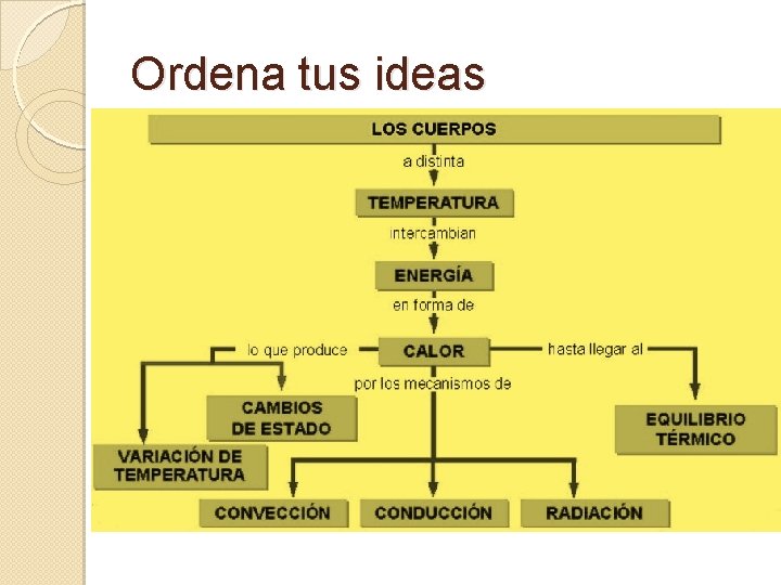 Ordena tus ideas 
