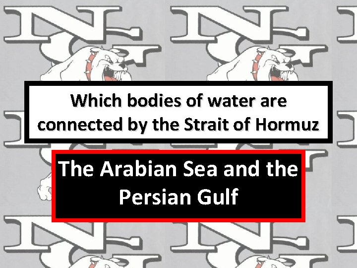 Which bodies of water are connected by the Strait of Hormuz The Arabian Sea