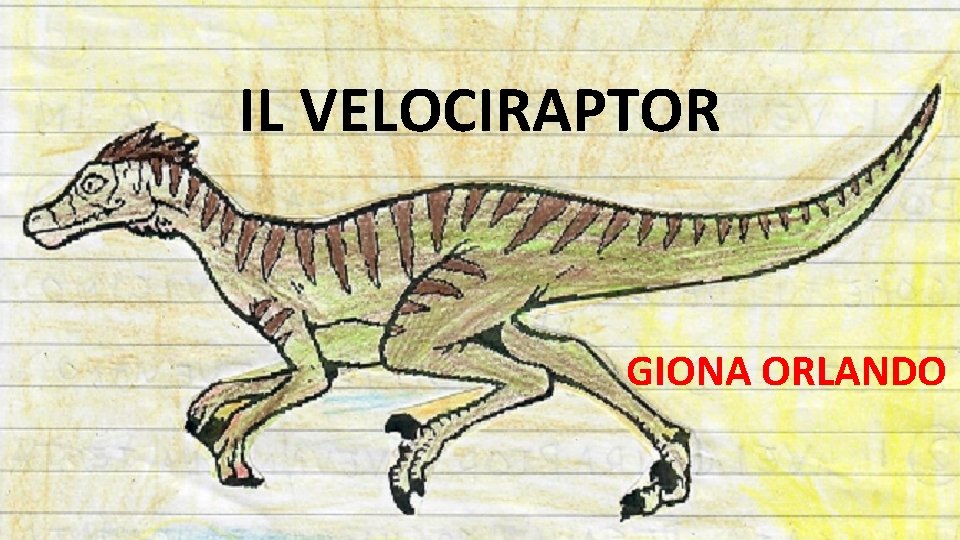 IL VELOCIRAPTOR GIONA ORLANDO 