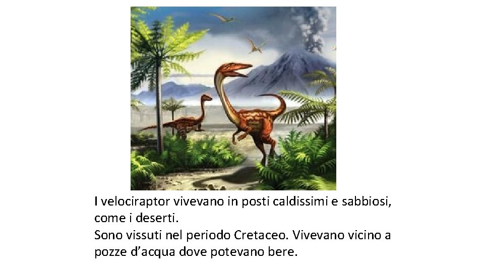 I velociraptor vivevano in posti caldissimi e sabbiosi, come i deserti. Sono vissuti nel