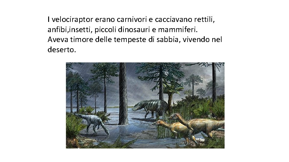 I velociraptor erano carnivori e cacciavano rettili, anfibi, insetti, piccoli dinosauri e mammiferi. Aveva