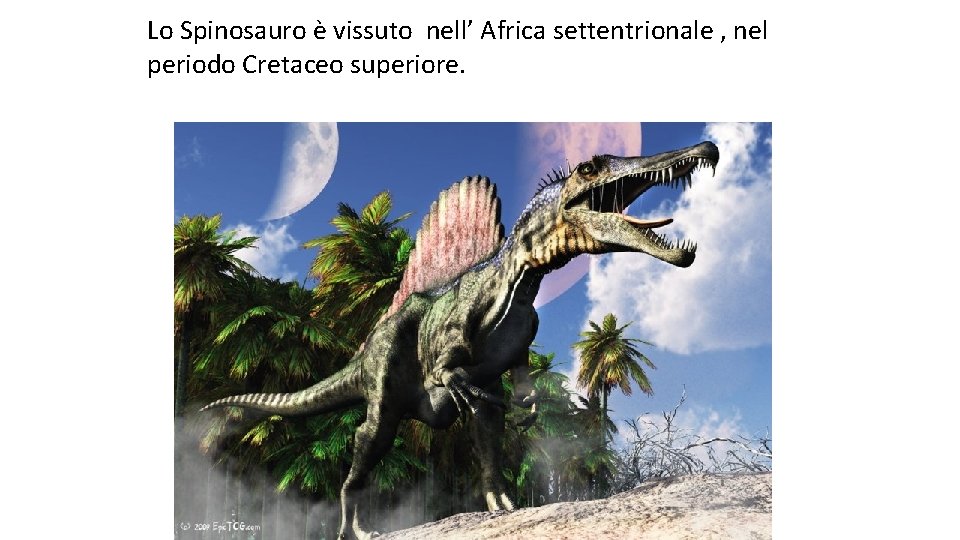 Lo Spinosauro è vissuto nell’ Africa settentrionale , nel periodo Cretaceo superiore. 