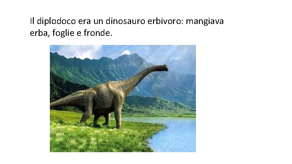 Il diplodoco era un dinosauro erbivoro: mangiava erba, foglie e fronde. 