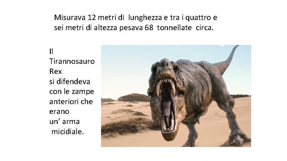 Misurava 12 metri di lunghezza e tra i quattro e sei metri di altezza