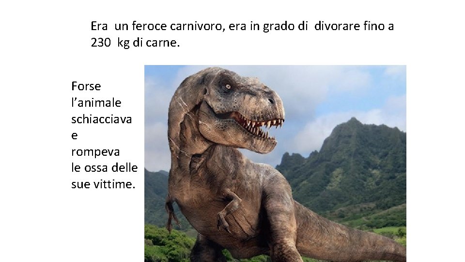 Era un feroce carnivoro, era in grado di divorare fino a 230 kg di