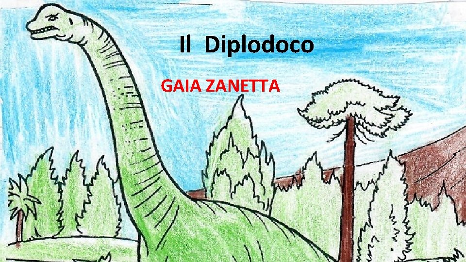 Il Diplodoco GAIA ZANETTA 