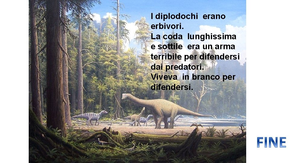 I diplodochi erano erbivori. La coda lunghissima e sottile era un arma terribile per