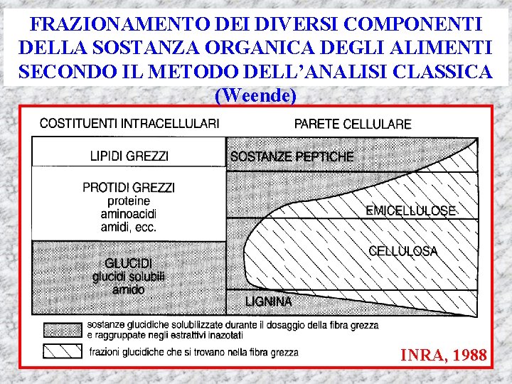 FRAZIONAMENTO DEI DIVERSI COMPONENTI DELLA SOSTANZA ORGANICA DEGLI ALIMENTI SECONDO IL METODO DELL’ANALISI CLASSICA