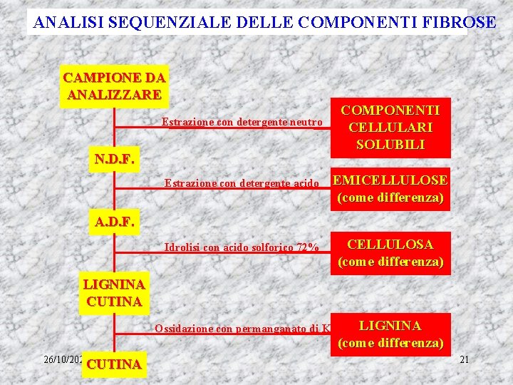 ANALISI SEQUENZIALE DELLE COMPONENTI FIBROSE CAMPIONE DA ANALIZZARE Estrazione con detergente neutro N. D.