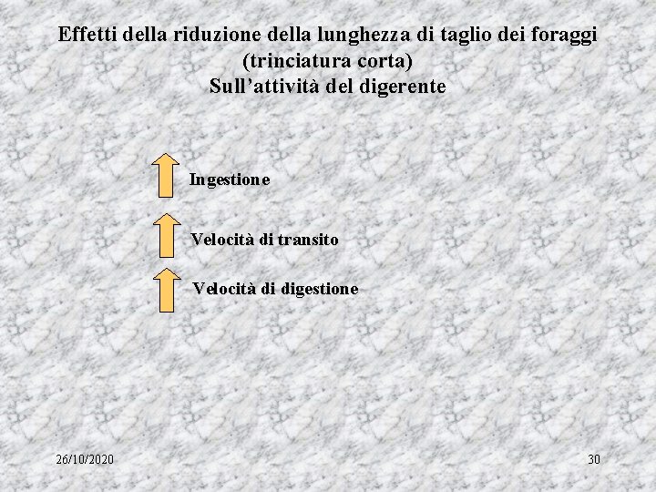 Effetti della riduzione della lunghezza di taglio dei foraggi (trinciatura corta) Sull’attività del digerente