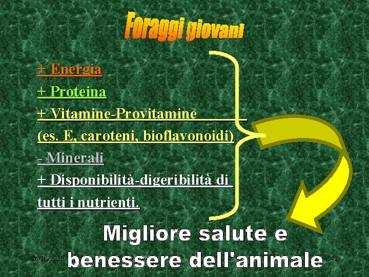 + Energia + Proteina + Vitamine-Provitamine (es. E, caroteni, bioflavonoidi) - Minerali + Disponibilità-digeribilità