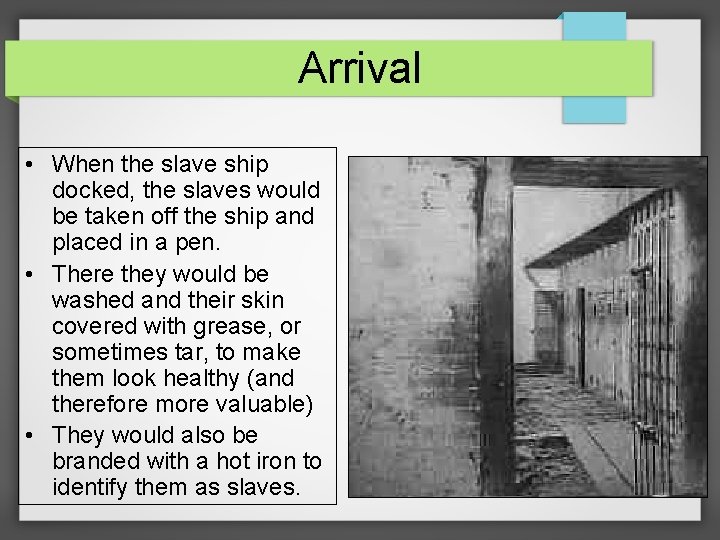Arrival • When the slave ship docked, the slaves would be taken off the