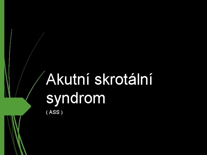 Akutní skrotální syndrom ( ASS ) 