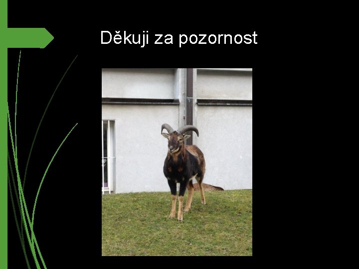 Děkuji za pozornost 