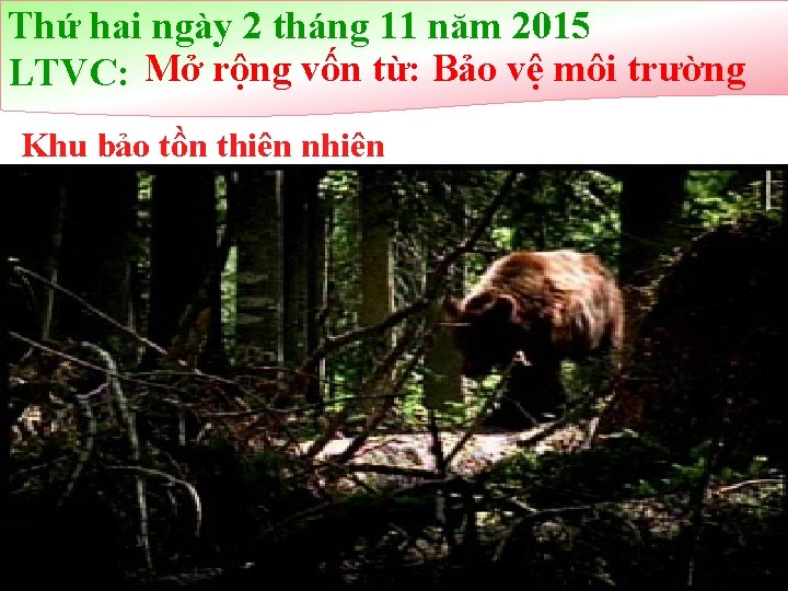 Thứ hai ngày 2 tháng 11 năm 2015 LTVC: Mở rộng vốn từ: Bảo