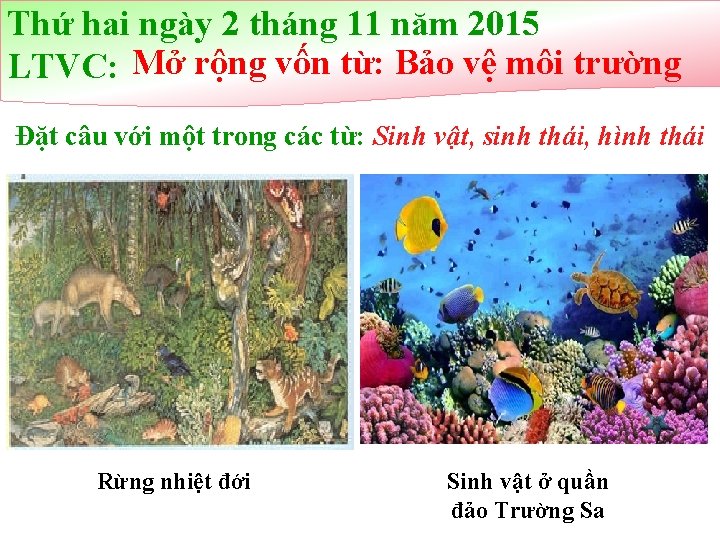 Thứ hai ngày 2 tháng 11 năm 2015 LTVC: Mở rộng vốn từ: Bảo