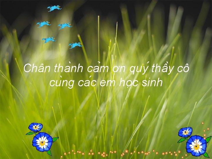 Chân tha nh ca m ơn quy thâ y cô cu ng ca c