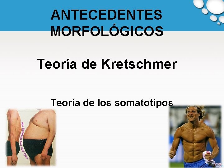 ANTECEDENTES MORFOLÓGICOS Teoría de Kretschmer Teoría de los somatotipos 