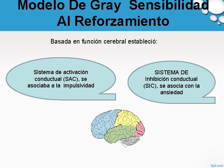 Modelo De Gray Sensibilidad Al Reforzamiento Basada en función cerebral estableció: Sistema de activación