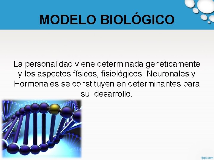 MODELO BIOLÓGICO La personalidad viene determinada genéticamente y los aspectos físicos, fisiológicos, Neuronales y