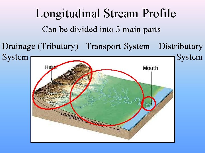 Longitudinal Stream Profile Can be divided into 3 main parts Drainage (Tributary) Transport System