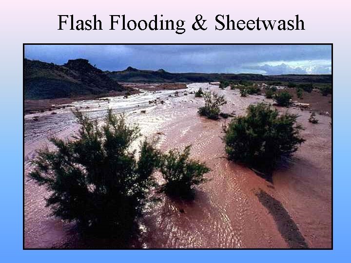 Flash Flooding & Sheetwash 
