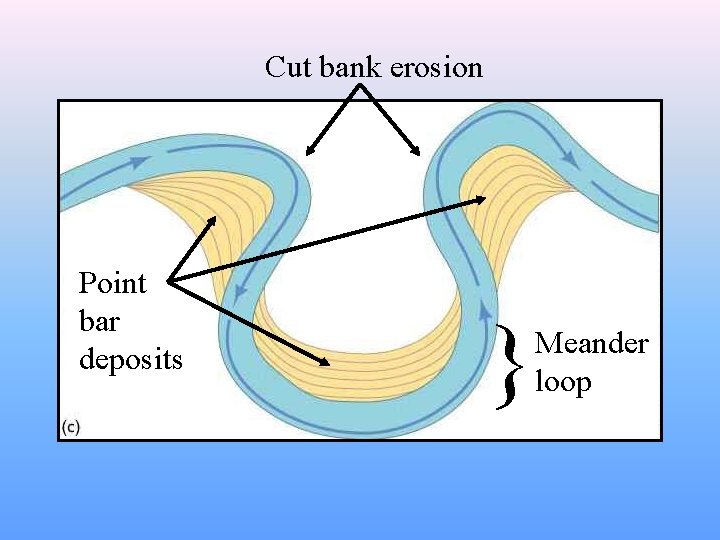 Cut bank erosion Point bar deposits } Meander loop 