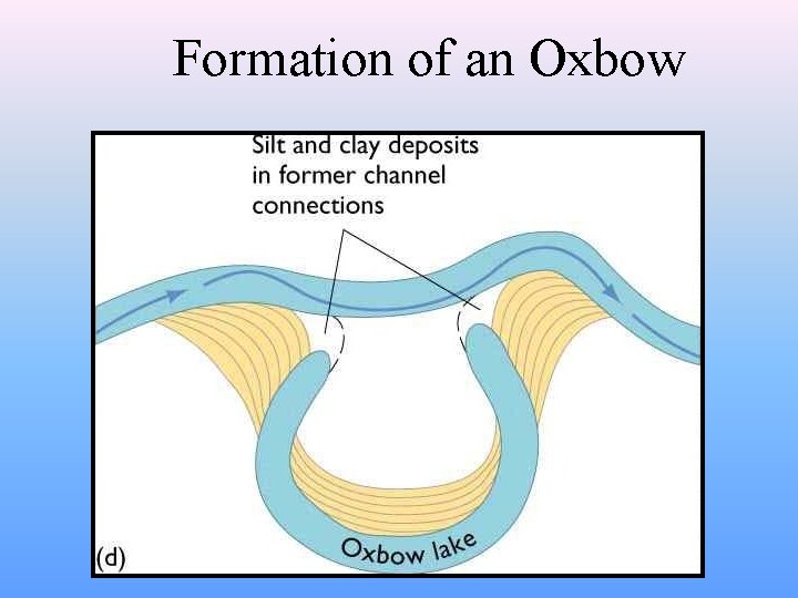 Formation of an Oxbow 