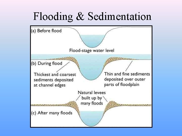 Flooding & Sedimentation 