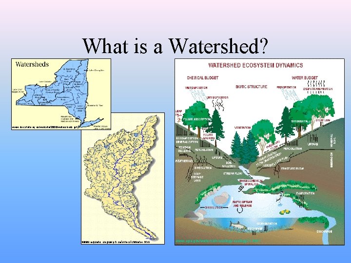 What is a Watershed? www. dec. state. ny. us/website/2000/watersheds. gif www. aquatic. uoguelph. ca/rivers/chwater.
