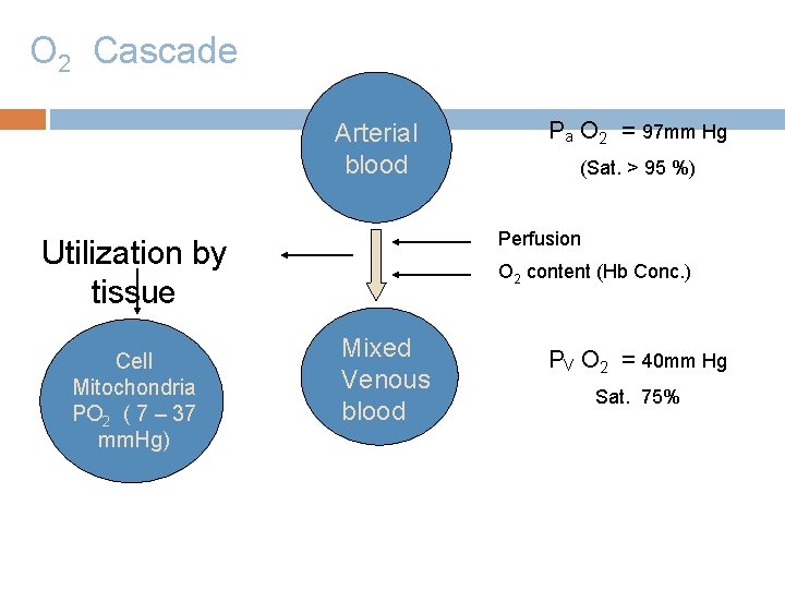 O 2 Cascade Arterial blood (Sat. > 95 %) Perfusion Utilization by tissue Cell