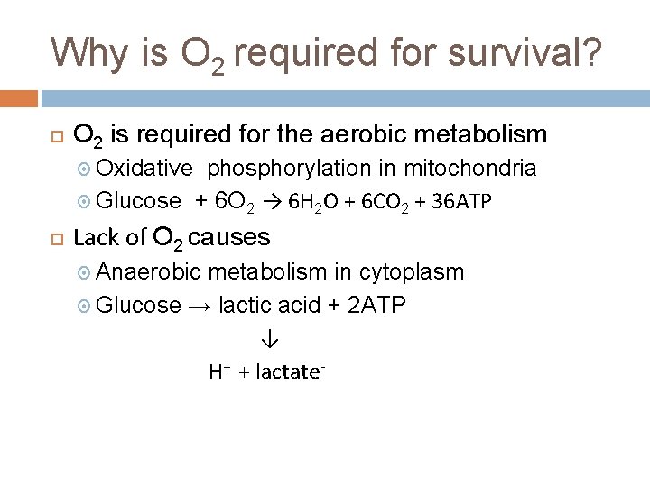 Why is O 2 required for survival? O 2 is required for the aerobic
