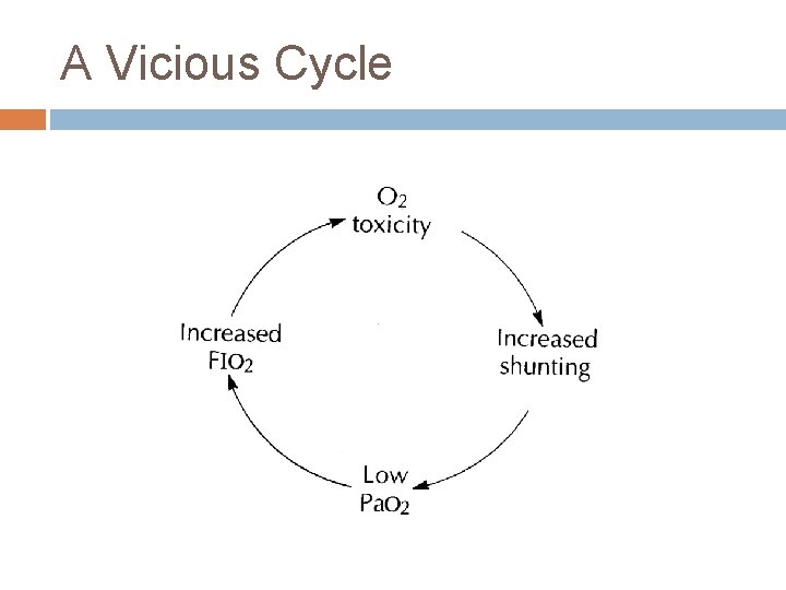 A Vicious Cycle 