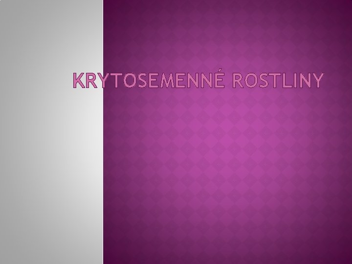 KRYTOSEMENNÉ ROSTLINY 