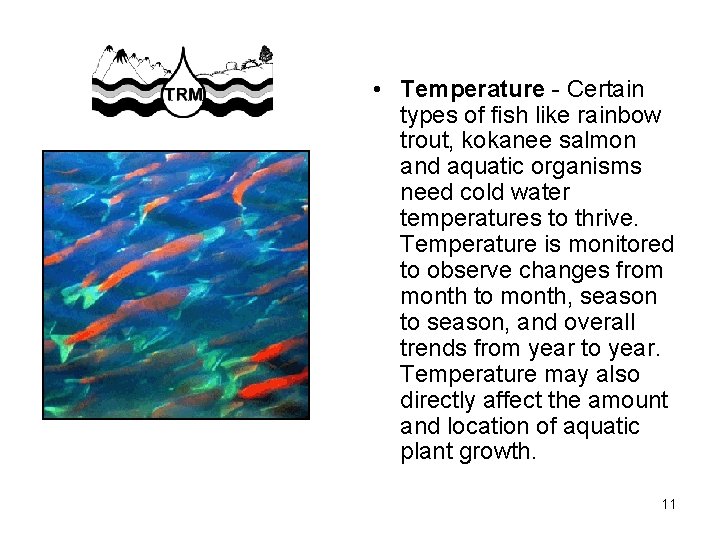  • Temperature - Certain types of fish like rainbow trout, kokanee salmon and