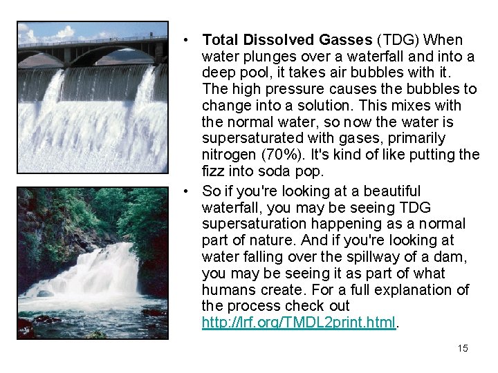  • Total Dissolved Gasses (TDG) When water plunges over a waterfall and into