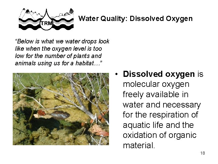 Water Quality: Dissolved Oxygen “Below is what we water drops look like when the