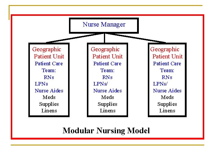 Nurse Manager Geographic Patient Unit Patient Care Team: RNs LPNs Nurse Aides Meds Supplies