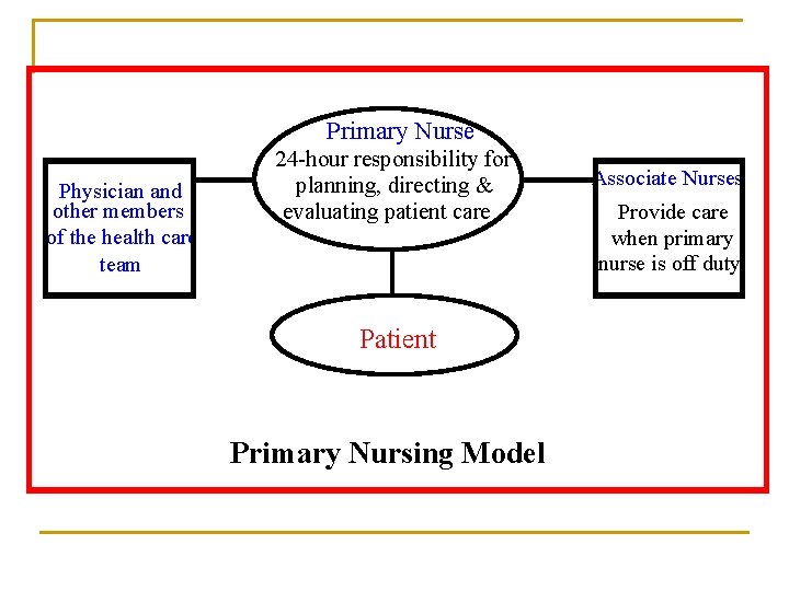 Primary Nurse Physician and other members of the health care team 24 -hour responsibility