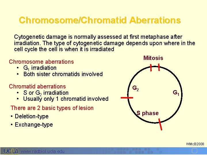 Chromosome/Chromatid Aberrations Cytogenetic damage is normally assessed at first metaphase after irradiation. The type