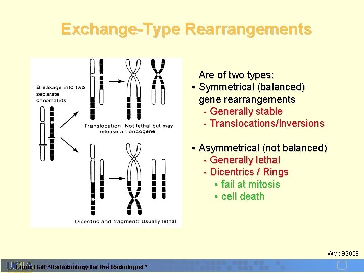 Exchange-Type Rearrangements Are of two types: • Symmetrical (balanced) gene rearrangements - Generally stable