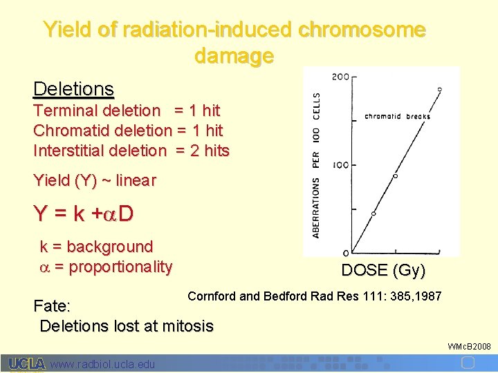 Yield of radiation-induced chromosome damage Deletions Terminal deletion = 1 hit Chromatid deletion =